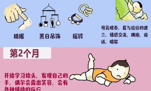 婴儿六个月蔬菜网 | 婴儿六个月奶量一天多少正常,六个月婴儿体重多少正常